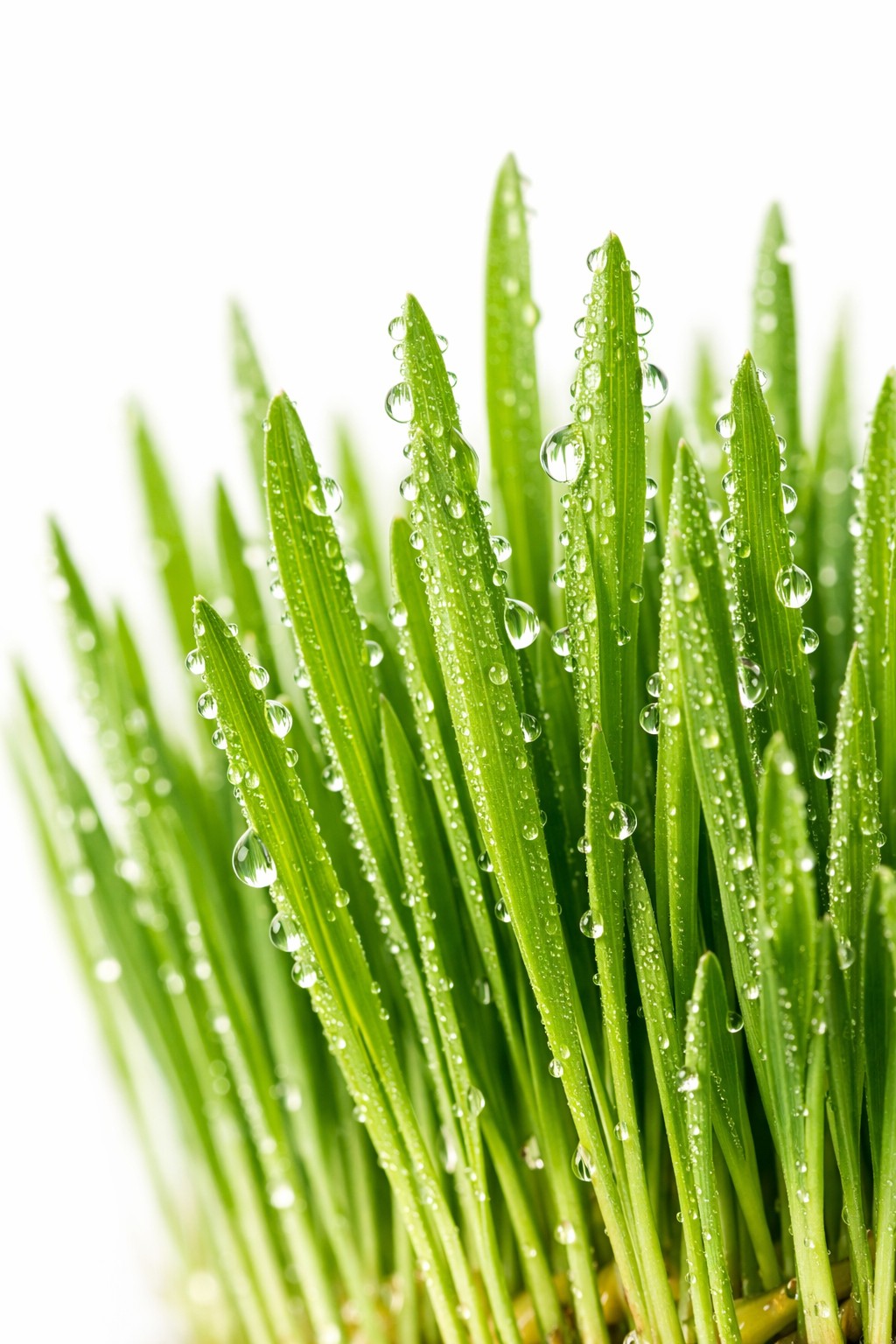 Vorteile von Weizensaft